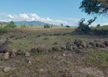 “La Lembo Roo Fiko” Yang Terabaikan.