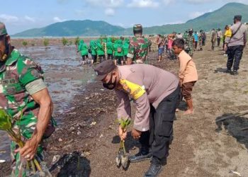 Dandim 1614 Dompu Pimpin Reboisasi Mangrove
