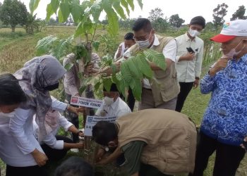 Penghijauan INTI dan JMSI Dapat Apresiasi dari Wagub