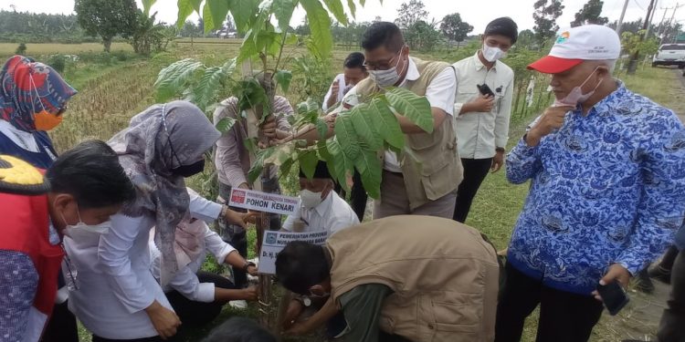 Penghijauan INTI dan JMSI Dapat Apresiasi dari Wagub