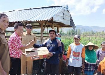 Peran Swasta, Kunci Keberhasilan Porang