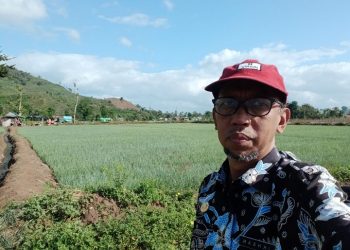 Dompu Jadi Daerah Penyangga Baru Produksi Bawang Merah