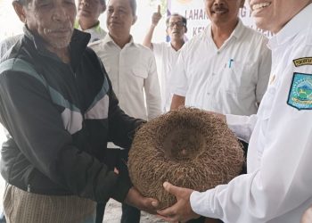 Porang Dompu Kini Miliki NIB