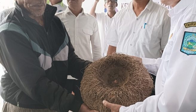 Porang Dompu Kini Miliki NIB