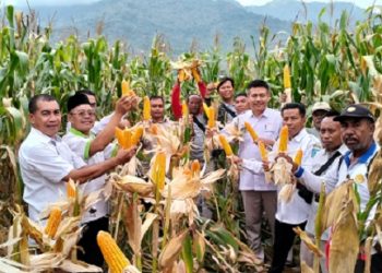 Lakukan Ubinan Bersama BPS,  Distanbun Samakan Persepsi