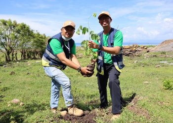 Peringati Hari Menanam Pohon Nasional PT STM Lakukan Penghijauan