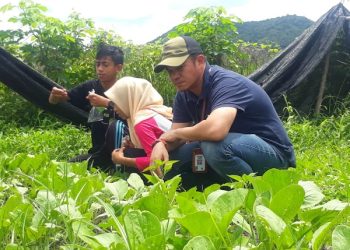 Petani Hortikultura Dapat Pelatihan Dari PT STM