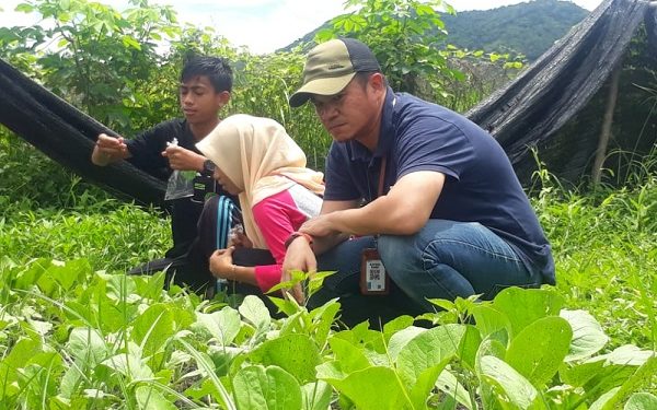 Petani Hortikultura Dapat Pelatihan Dari PT STM