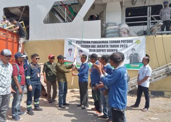 Kapal Tol Laut Angkut Sapi Qurban dari Dompu Dilepas di Pelabuhan Calabai