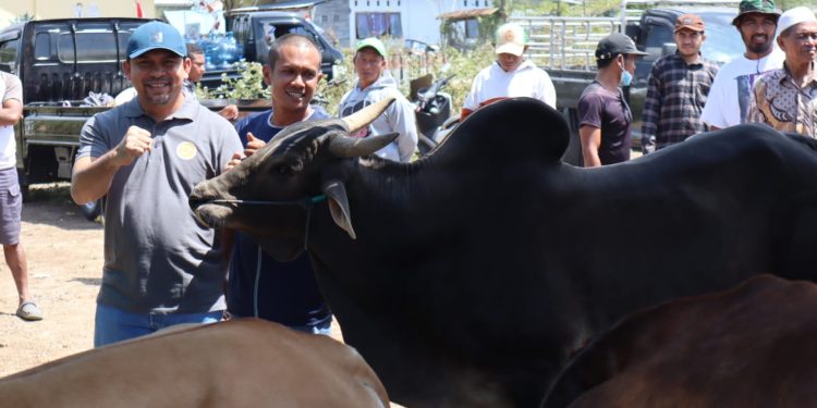 Kontes Ternak NTB di Dompu, Bupati Bangga Melihat Hasil Peternakan Warganya