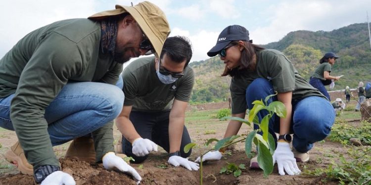 PT. STM Tanam Lebih Dari 13.500 Pohon Dalam 5 Tahun Terakhir
