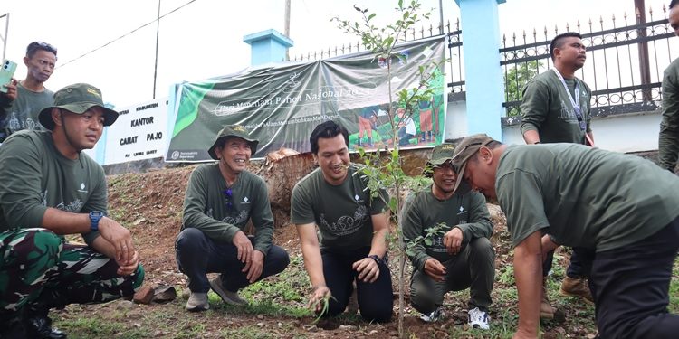 Kolaborasi bersama PT STM, Pemda Dompu Peringati Hari Penanaman Nasional di Jalan Raya Pajo