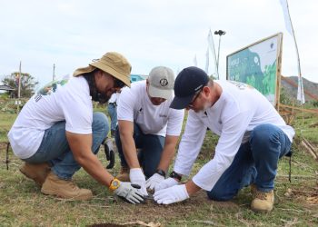 Rayakan Hari Lingkungan Hidup Sedunia 2024, STM Upayakan Restorasi Tanah Melalui Instalasi Lubang Biopori