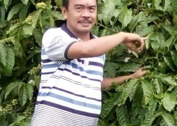 Penuhi Kebutuhan Giling PT SMS, Tebu Rakyat Ditargetkan Panen Seluas 3.270 ha