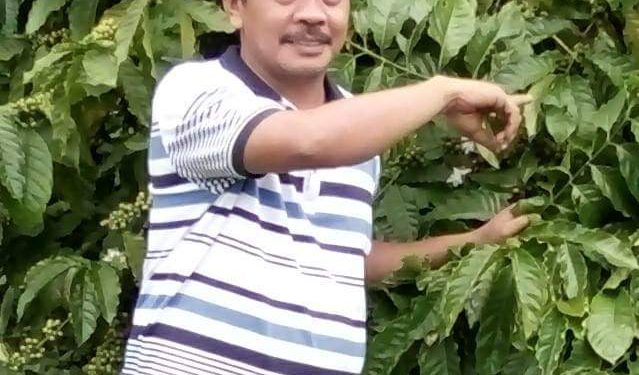 Penuhi Kebutuhan Giling PT SMS, Tebu Rakyat Ditargetkan Panen Seluas 3.270 ha