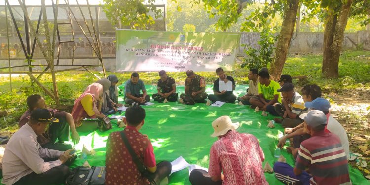 Distanbun Kolaborasi dengan TNI Tingkatkan Produksi Tanaman Pangan