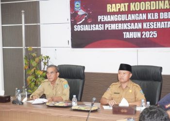 Dua Anak Meninggal Karena DBD, Wakil Bupati Dorong Masyarakat Terapkan 3M Plus