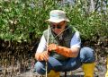 Peringati Hari Mangrove Sedunia dan HUT ke-62, Bank NTB Syariah Tanam Mangrove di Kawasan Ekowisata Paremas
