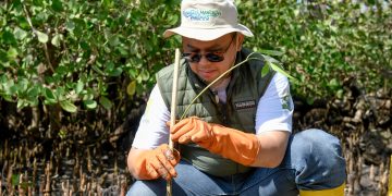 Peringati Hari Mangrove Sedunia dan HUT ke-62, Bank NTB Syariah Tanam Mangrove di Kawasan Ekowisata Paremas