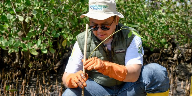 Peringati Hari Mangrove Sedunia dan HUT ke-62, Bank NTB Syariah Tanam Mangrove di Kawasan Ekowisata Paremas