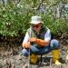 Peringati Hari Mangrove Sedunia dan HUT ke-62, Bank NTB Syariah Tanam Mangrove di Kawasan Ekowisata Paremas