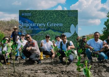 Peringati Hari Konservasi Mangrove Internasional, InJourney Perkuat Kawasan Pariwisata Berkelanjutan melalui Pengembangan Mangrove Sanctuary di The Mandalika