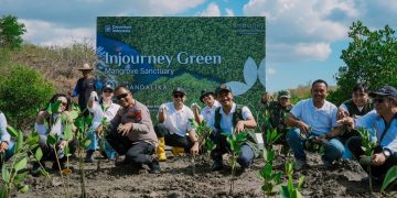 Peringati Hari Konservasi Mangrove Internasional, InJourney Perkuat Kawasan Pariwisata Berkelanjutan melalui Pengembangan Mangrove Sanctuary di The Mandalika