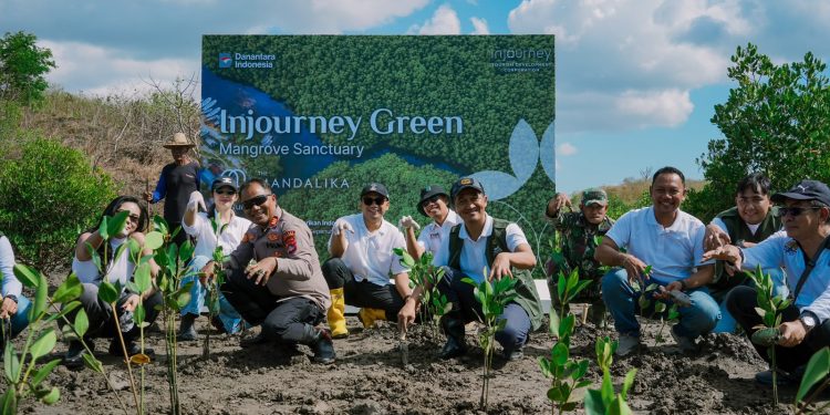 Peringati Hari Konservasi Mangrove Internasional, InJourney Perkuat Kawasan Pariwisata Berkelanjutan melalui Pengembangan Mangrove Sanctuary di The Mandalika