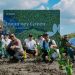 Peringati Hari Konservasi Mangrove Internasional, InJourney Perkuat Kawasan Pariwisata Berkelanjutan melalui Pengembangan Mangrove Sanctuary di The Mandalika